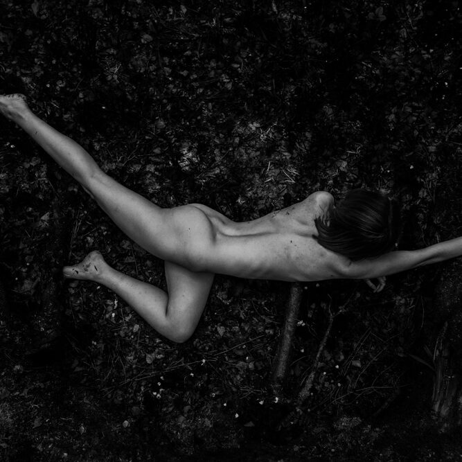 Julia Zhuravskaya - Fly, on little wing