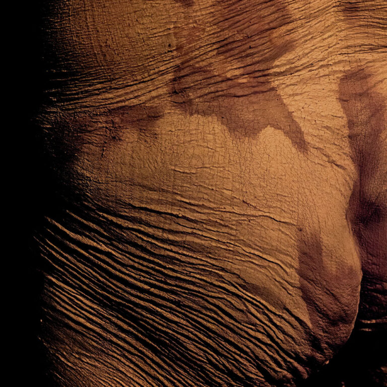 Materia viva - Gabriele Agostini