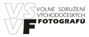 logoVSVF300